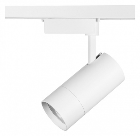 Фото Светильник на штанге Lightstar Volta 229446