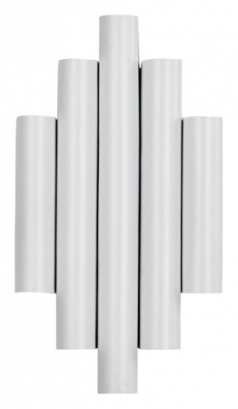 Фото Накладной светильник Favourite Tubulis 4126-2W