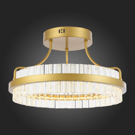 Фото Накладной светильник ST-Luce Cherio SL383.202.01