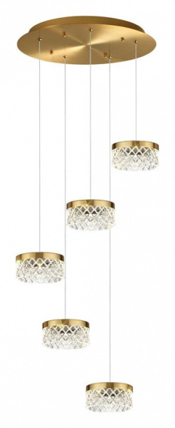 Фото Подвесная люстра Odeon Light Fivre 5032/30L