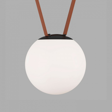 Открыть Накладной светильник Denkirs BELTY ORB DK5552-BK Фото Накладной светильник Denkirs BELTY ORB DK5552-BK