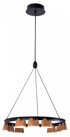 Открыть Подвесная люстра Favourite Interline 4266-9P Фото Подвесная люстра Favourite Interline 4266-9P