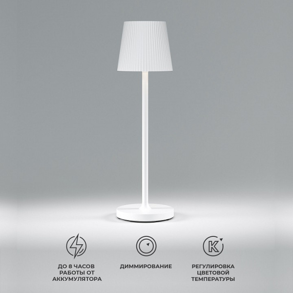 Фото Настольная лампа декоративная Elektrostandard Mist a063928