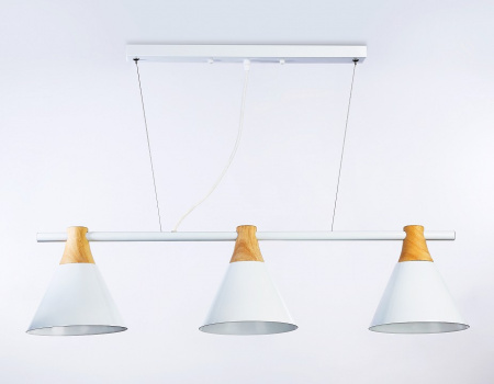 Фото Подвесной светильник Ambrella Light TR TR8196