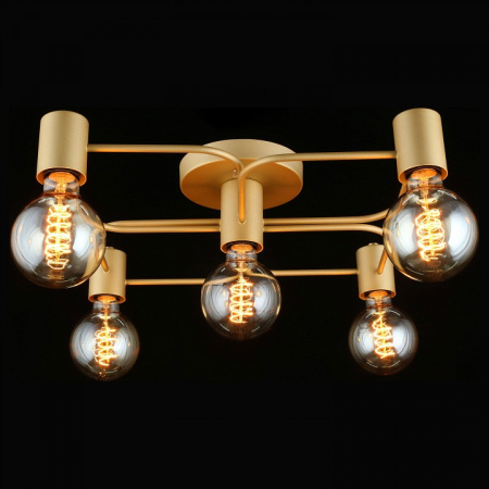 Фото Потолочная люстра Aployt Elison APL.911.07.05