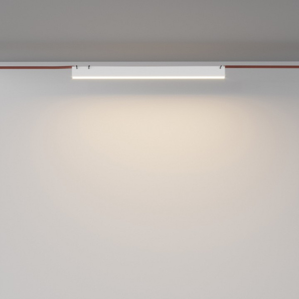 Фото Накладной светильник Maytoni Basis TR129B-24W3K-W