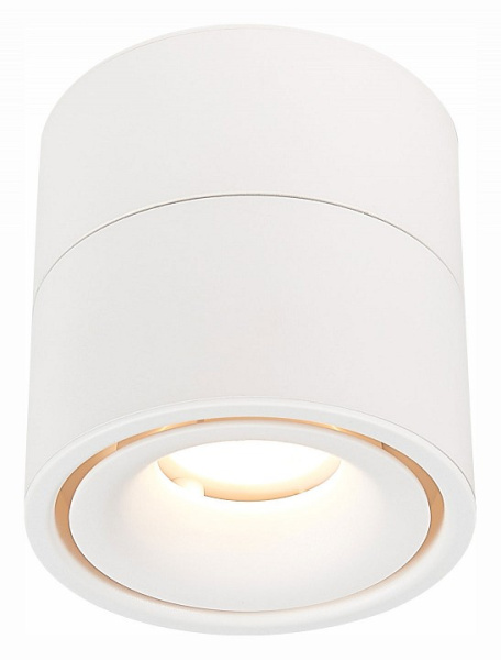 Фото Светильник на штанге ST-Luce ST652 ST652.532.12