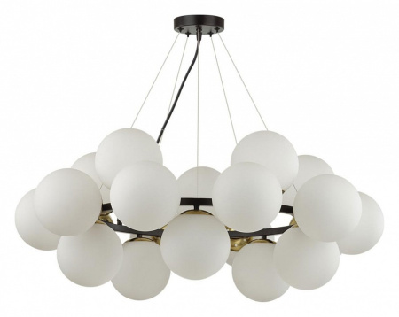 Фото Подвесная люстра Lumion Moderni 6508/20