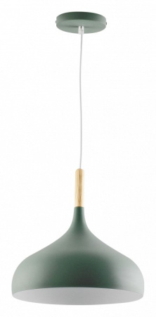 Фото Подвесной светильник Moderli Eline V1296-1P