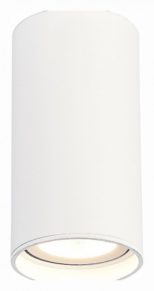 Фото Накладной светильник ST-Luce ST157 ST157.532.15