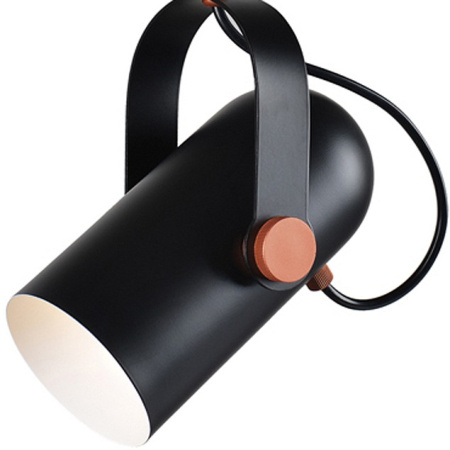 Фото Подвесной светильник Favourite Ampolla 2007-1P