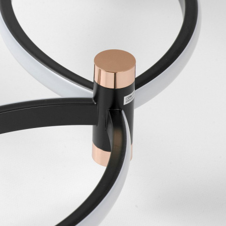 Фото Подвесная люстра Lussole Taylor LSP-7211