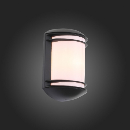 Фото Накладной светильник ST-Luce Agio SL076.401.01