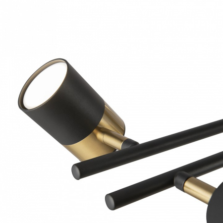 Фото Люстра на штанге Freya Enzo FR5201PL-10B