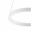 Фото Подвесной светильник Maytoni Rim MOD058PL-L22WK