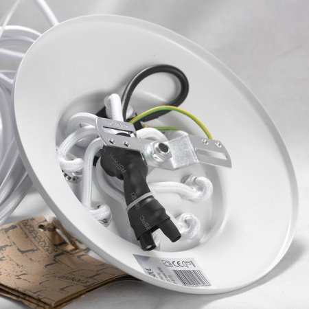 Открыть Подвесная люстра Lussole Shirley GRLSP-8173 Фото Подвесная люстра Lussole Shirley GRLSP-8173