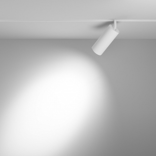 Фото Светильник на штанге Maytoni Focus LED TR032-2-20W3K-S-W