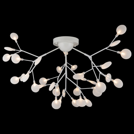 Фото Потолочная люстра Freya Florencia FR5049CL-36W1