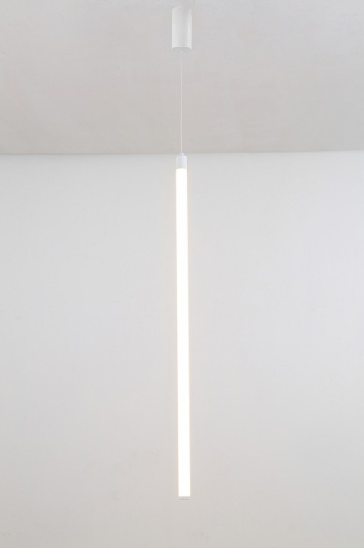 Фото Подвесной светильник Maytoni Ray P022PL-L20W3K