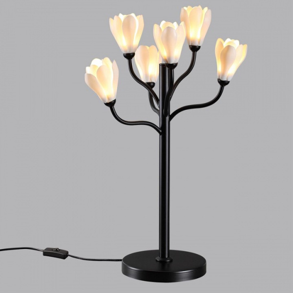 Фото Настольная лампа декоративная Odeon Light Gardi 5090/6T