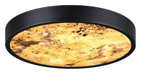 Фото Накладной светильник Odeon Light Bergi 5064/24L