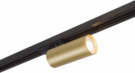 Открыть Светильник на штанге Denkirs Tube DK6202-BG Фото Светильник на штанге Denkirs Tube DK6202-BG