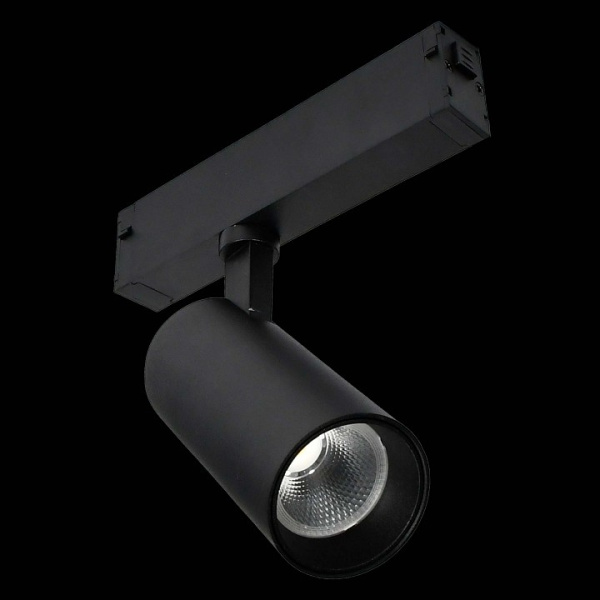 Фото Светильник на штанге ST-Luce ST660 ST660.496.10