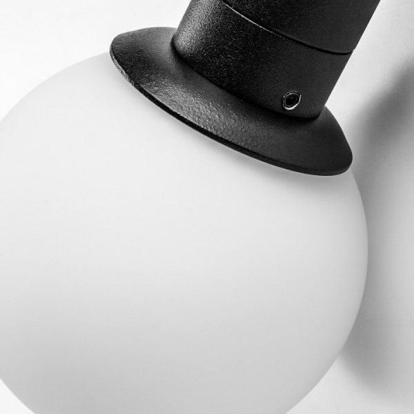 Фото Накладной светильник Lightstar DUE 207837