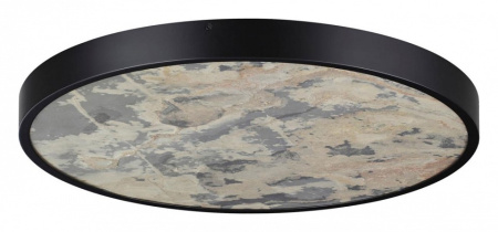 Фото Накладной светильник Odeon Light Bergi 5064/50L