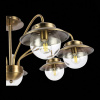 Открыть Потолочная люстра EVOLUCE Garonni SLE110102-07 Фото Потолочная люстра EVOLUCE Garonni SLE110102-07