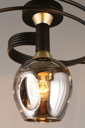 Фото Потолочная люстра Aployt Flor APL.611.17.06