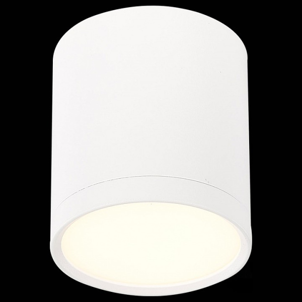 Фото Накладной светильник ST-Luce Rene ST113.532.05