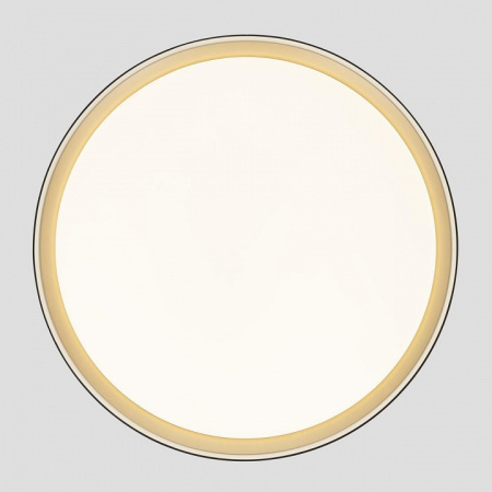 Фото Накладной светильник Citilux BOSS CL751451G