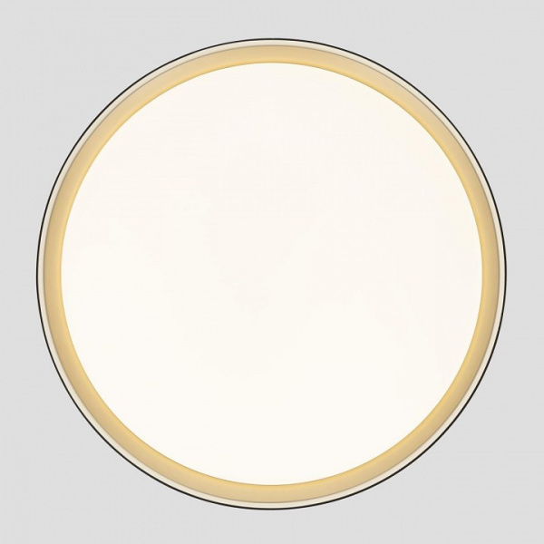 Фото Накладной светильник Citilux BOSS CL751451G