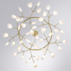 Открыть Подвесная люстра Arte Lamp Candy A7272SP-45GO Фото Подвесная люстра Arte Lamp Candy A7272SP-45GO