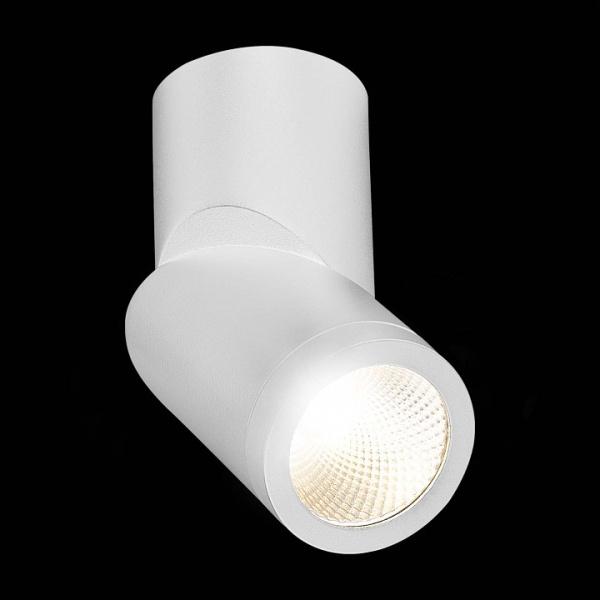 Открыть Светильник на штанге ST-Luce ST650 ST650.542.10 Фото Светильник на штанге ST-Luce ST650 ST650.542.10