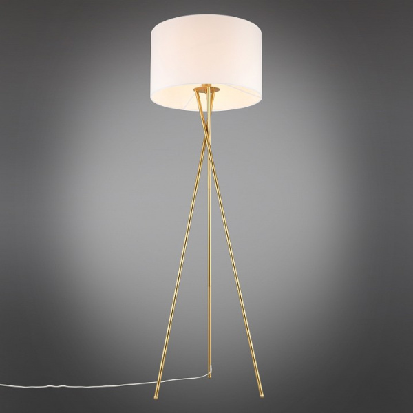 Фото Торшер Aployt Anastasi APL.637.05.01