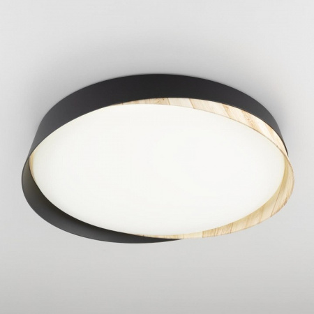 Фото Накладной светильник Citilux BONNY CL754351G