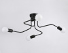 Открыть Потолочная люстра Ambrella Light TR TR8022 Фото Потолочная люстра Ambrella Light TR TR8022