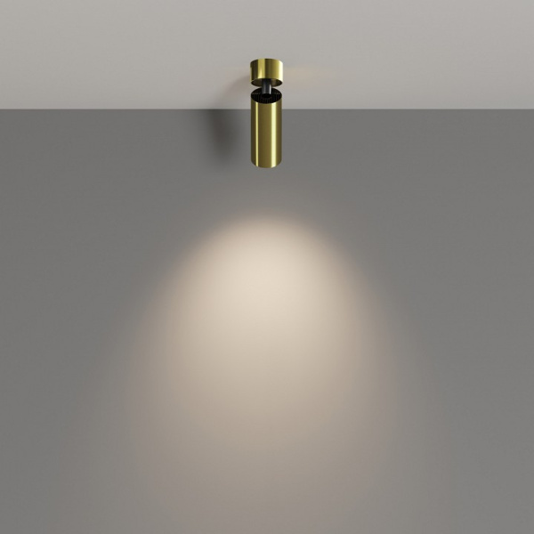 Фото Спот Maytoni FOCUS LED C055CL-L12W4K-W-BS