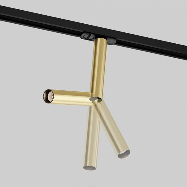 Фото Светильник на штанге Maytoni Focus T TR142-1-6W3K-BS