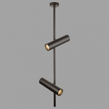 Фото Светильник на штанге Maytoni Elti C021CL-02B