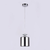 Открыть Подвесной светильник Ambrella Light TR TR3579 Фото Подвесной светильник Ambrella Light TR TR3579