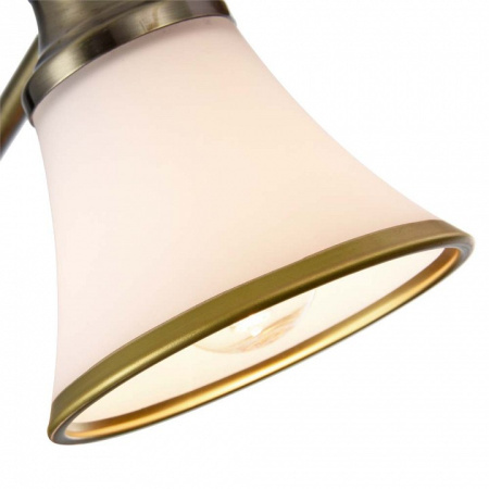 Фото Спот Freya Jasinta FR2272-CW-03-BS