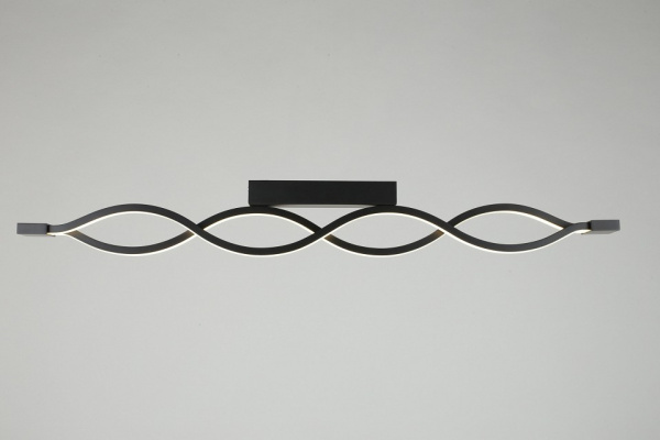 Фото Накладной светильник Aployt Nadayn APL.002.12.36