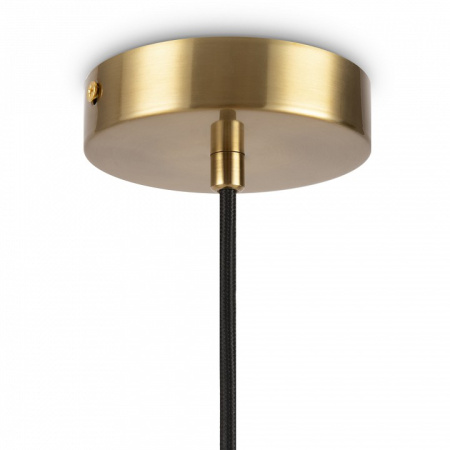 Фото Подвесной светильник Freya Zelda FR5124PL-01BS