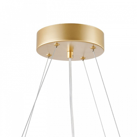 Фото Подвесная люстра Favourite Asterismo 4448-6P