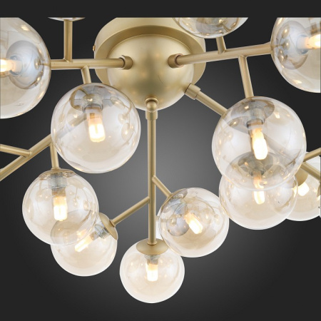 Фото Потолочная люстра ST-Luce Pallеre SL438.202.20