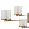 Открыть Люстра на штанге Indigo Bilancia 13023/6R Brass Фото Люстра на штанге Indigo Bilancia 13023/6R Brass