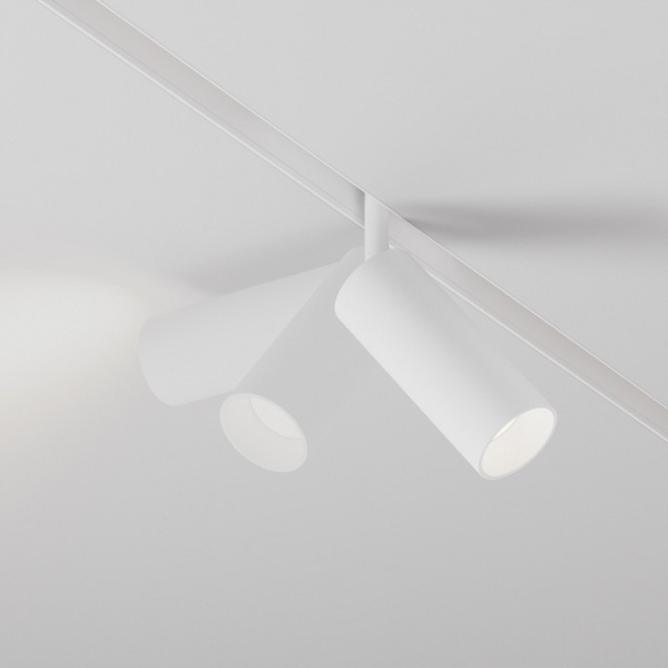 Фото Светильник на штанге Maytoni Focus LED TR032-4-12WTW-S-DD-W
